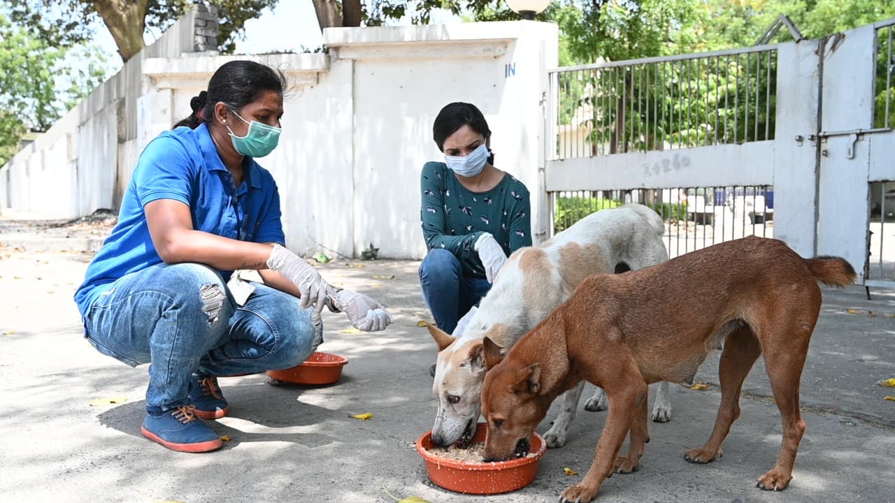 feeding-img2