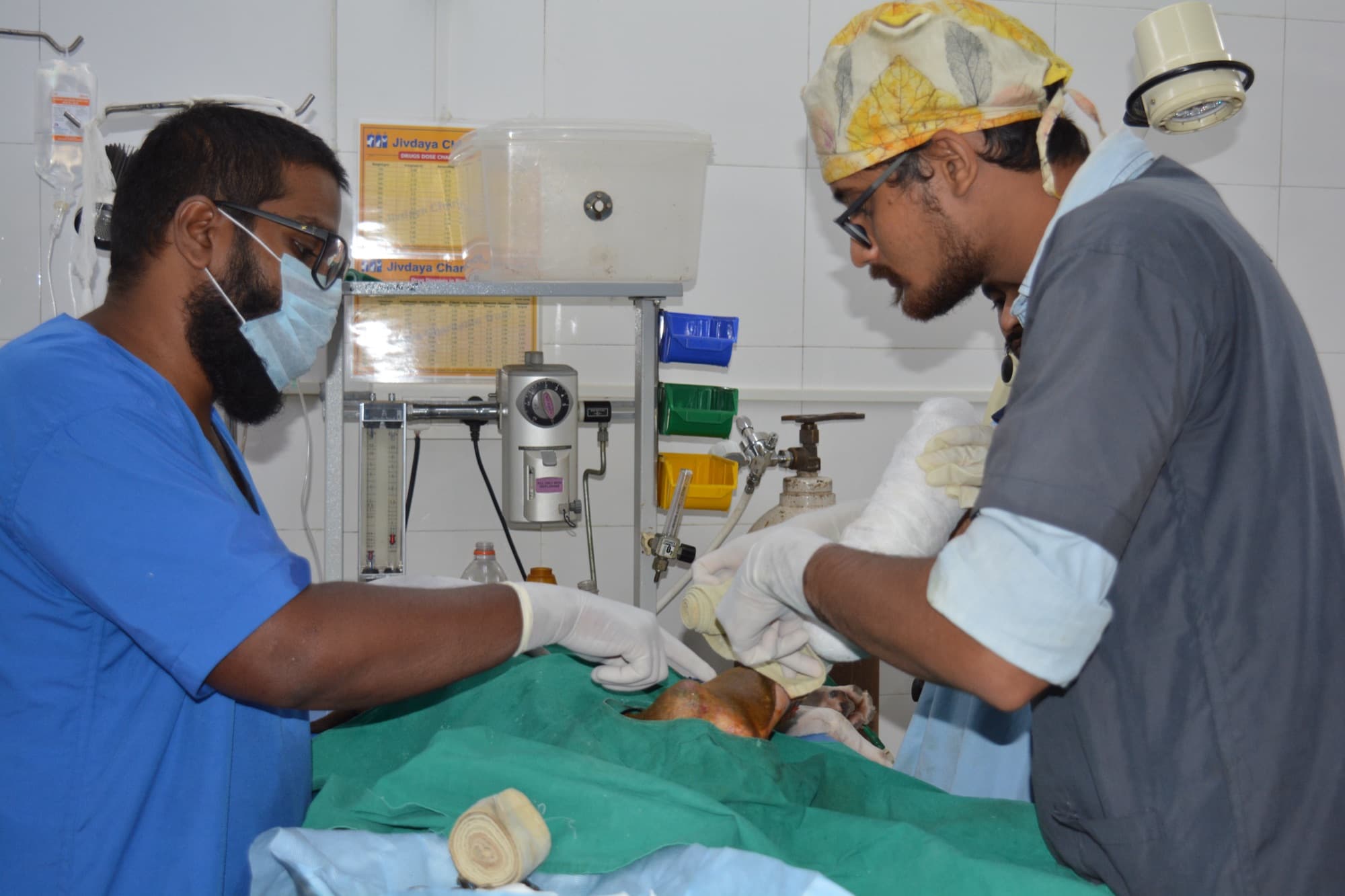Two masked Jivdaya vets operating on a dog under green surgical drapes
