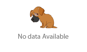No Data Found