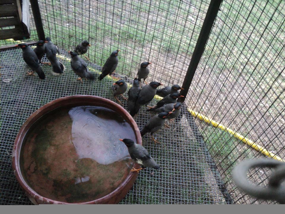 Bank Maynas after treatment 