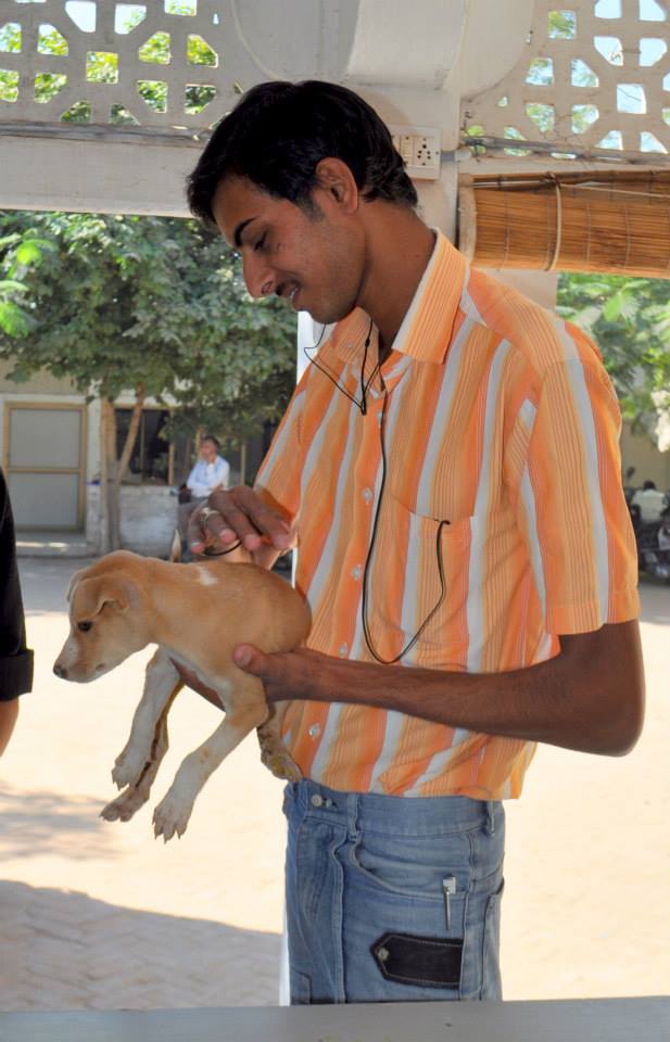 Chotu handed over to his owner after he recovered fully
