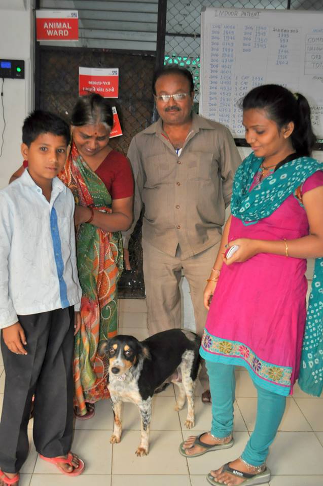 The dog handed over to the family
