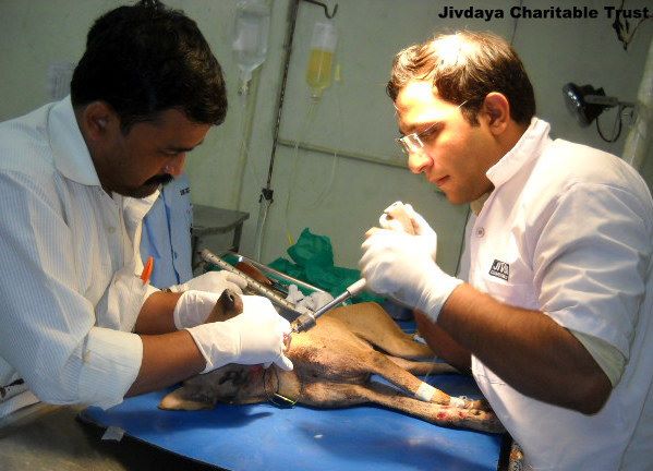 Doctor's Fixing the broken  Jaw
