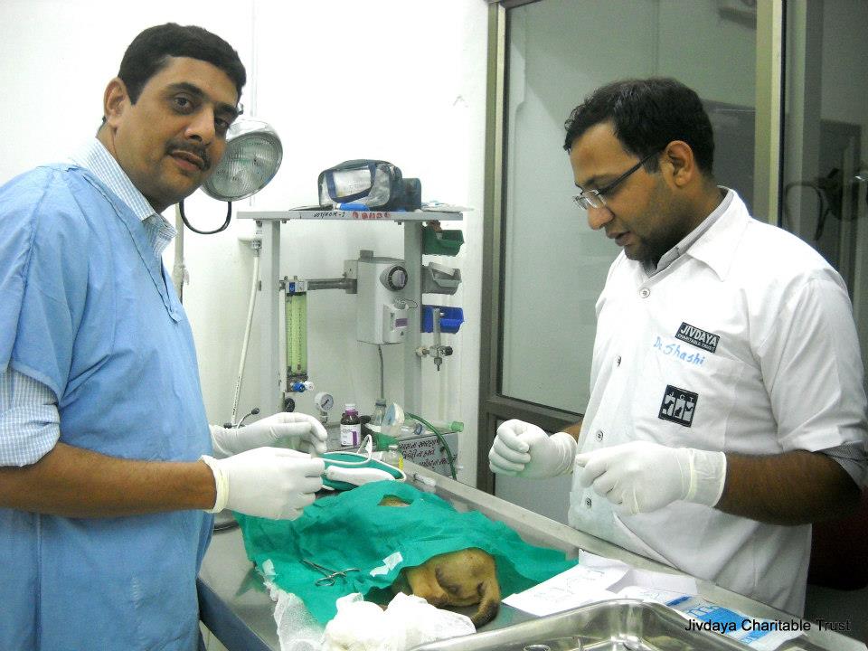  Dr.Chaitaniya Shroff a human physician and Cancer specialist, suggested a new technique to treat the pup. Combined treatment resulted in a great operation which saved the pup's life and gave us a new outlook into veterinarian treatment. — with Vipul Kavechiya.