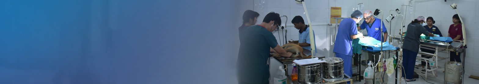 veterinary-form