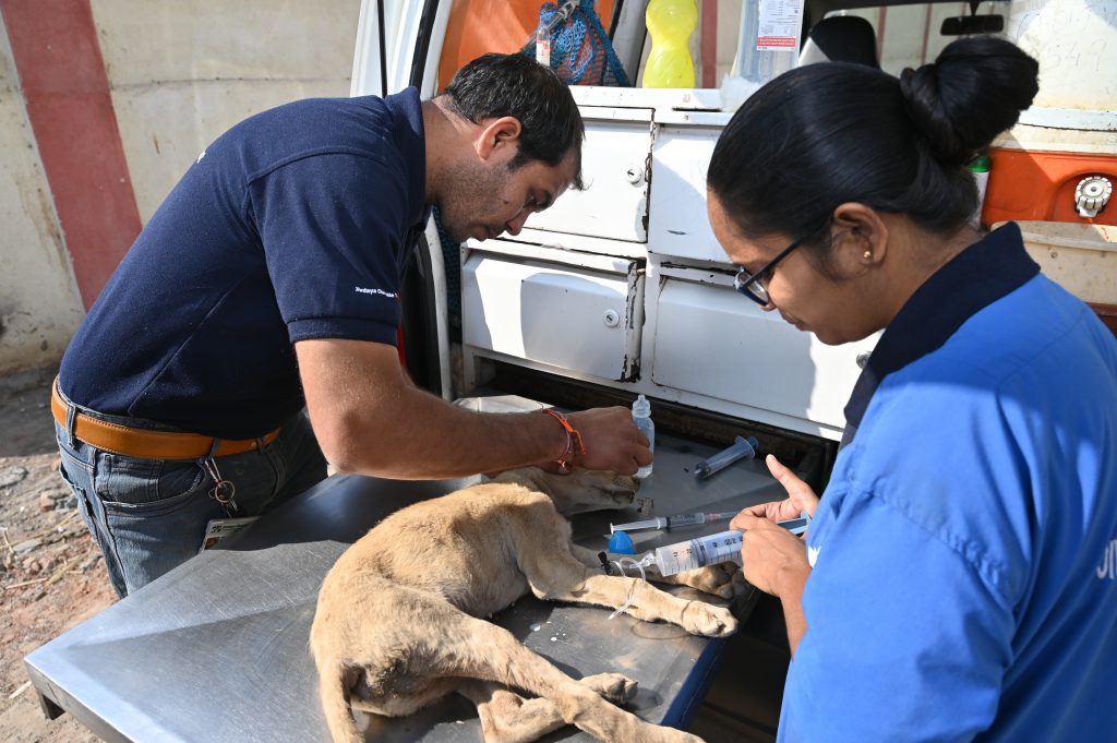 Animal Care on Wheels – Jivdaya Charitable Trust