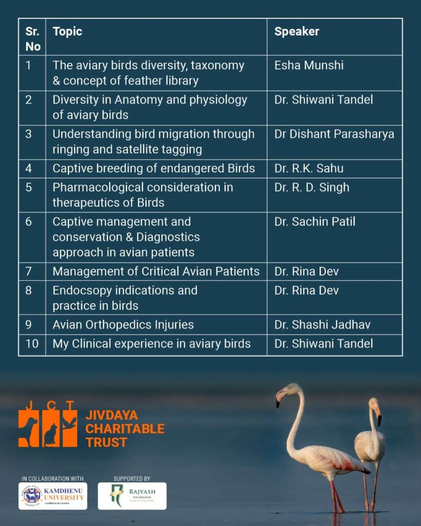 Workshop-Topics
