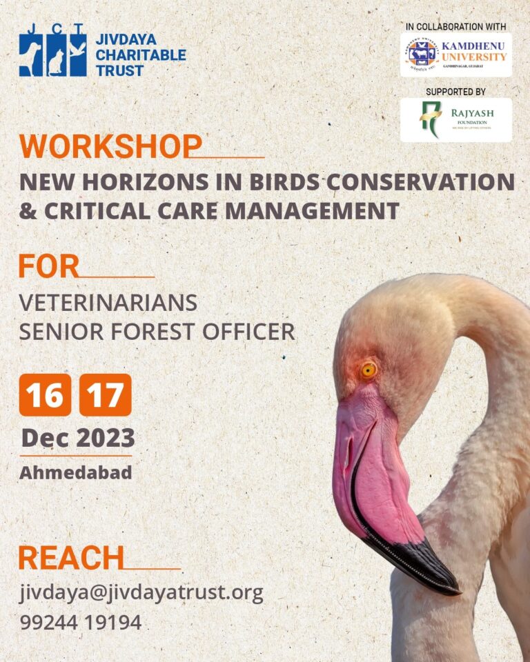 New Horizons in Birds Conservation